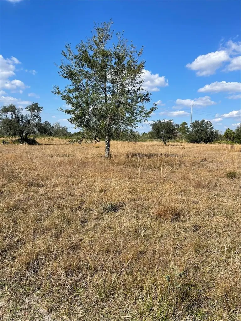 Hammermill Avenue Lake Wales FL 33859