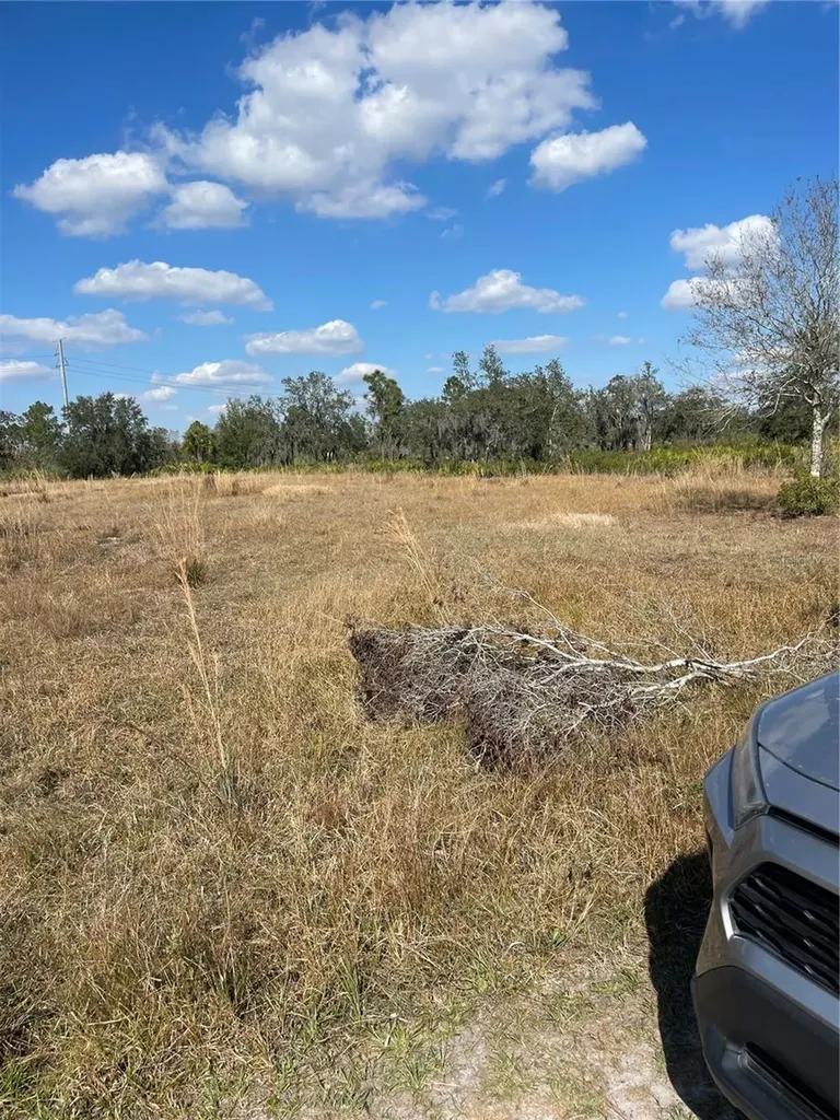 Hammermill Avenue Lake Wales FL 33859