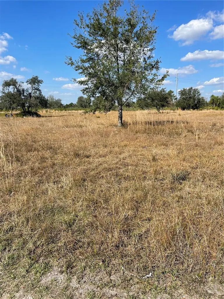Hammermill Avenue Lake Wales FL 33859