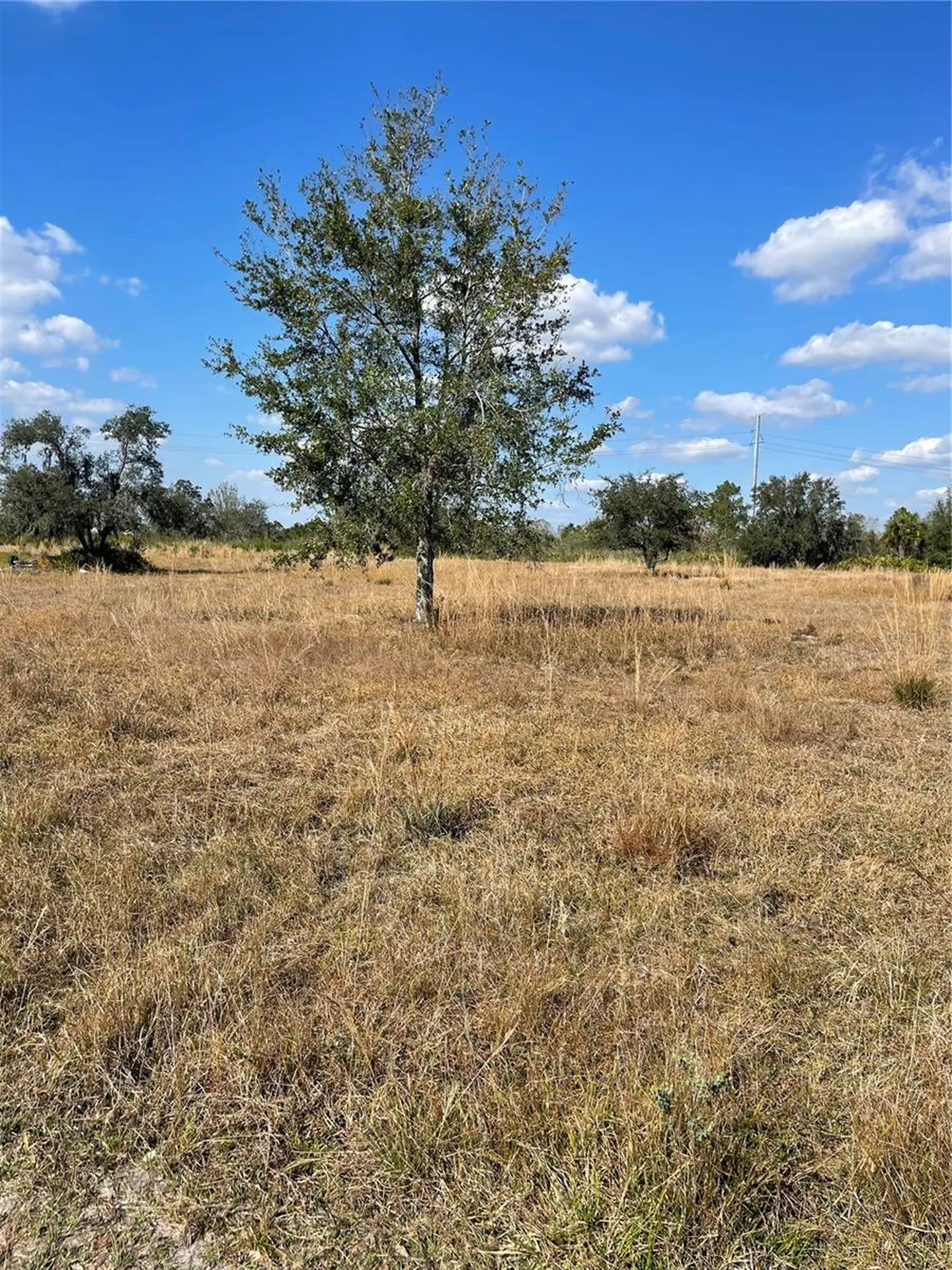 Hammermill Avenue Lake Wales FL 33859