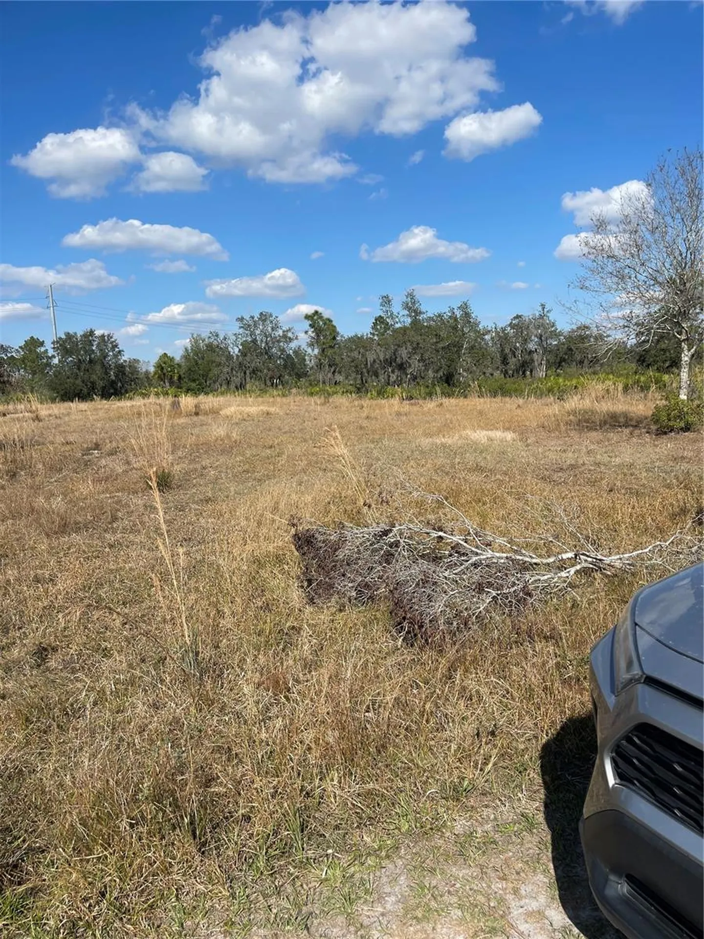 Hammermill Avenue Lake Wales FL 33859