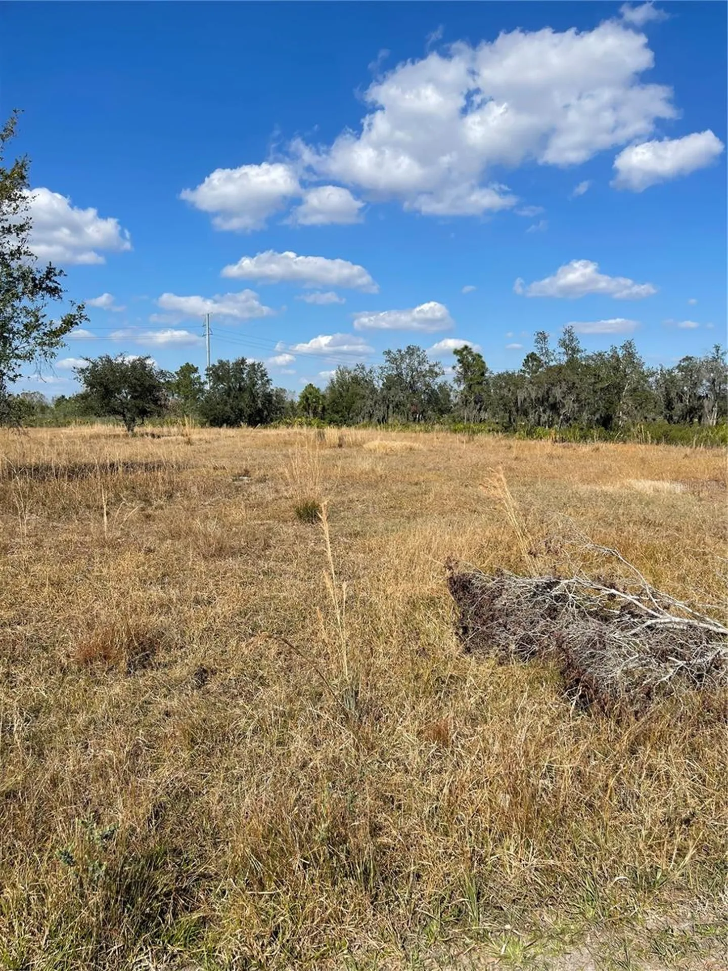 Hammermill Avenue Lake Wales FL 33859