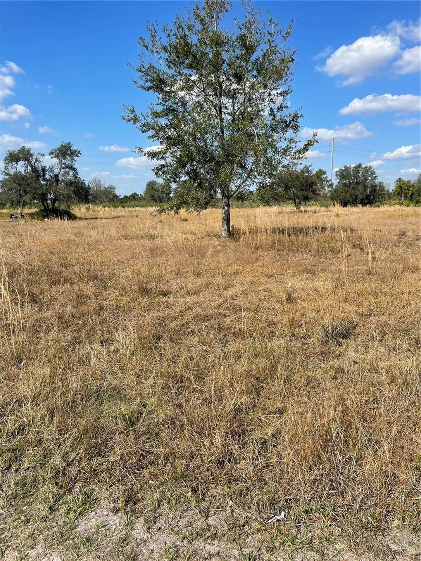 Hammermill Avenue Lake Wales FL 33859