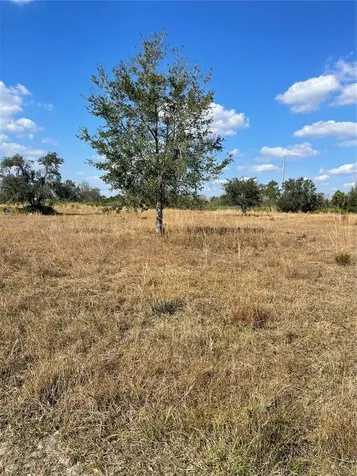 Hammermill Avenue Lake Wales FL 33859