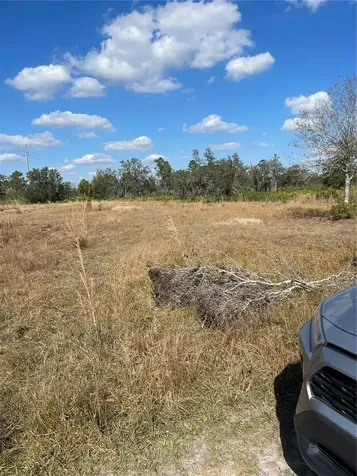 Hammermill Avenue Lake Wales FL 33859