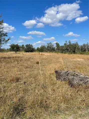 Hammermill Avenue Lake Wales FL 33859