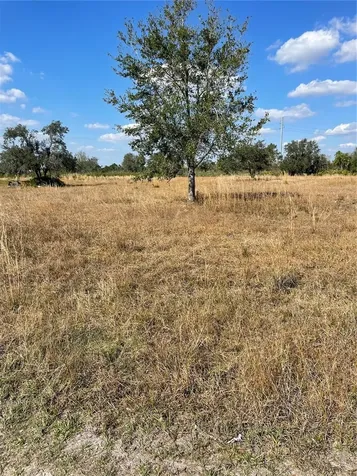 Hammermill Avenue Lake Wales FL 33859