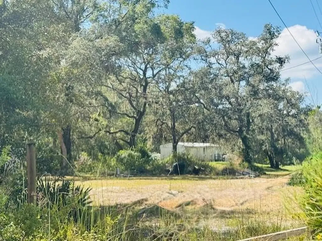 4547 SW 128th Place Webster FL 33597
