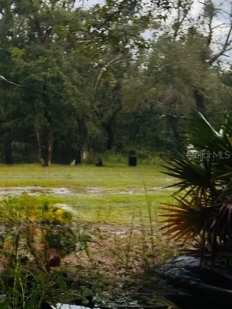 4547 SW 128th Place Webster FL 33597