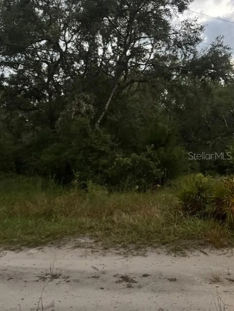 4547 SW 128th Place Webster FL 33597