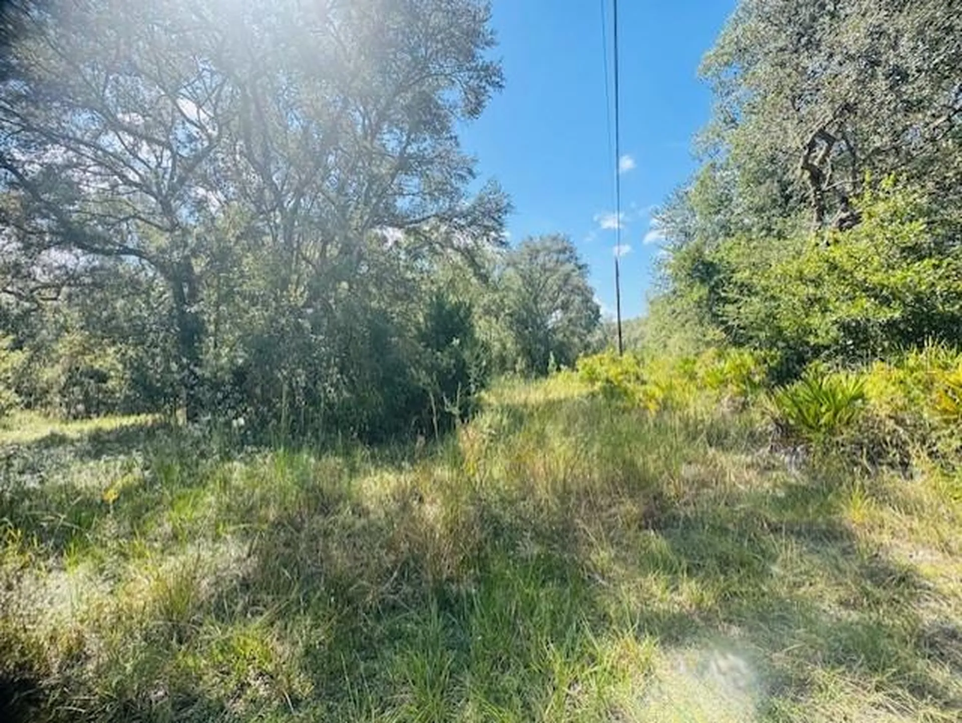 4547 SW 128th Place Webster FL 33597
