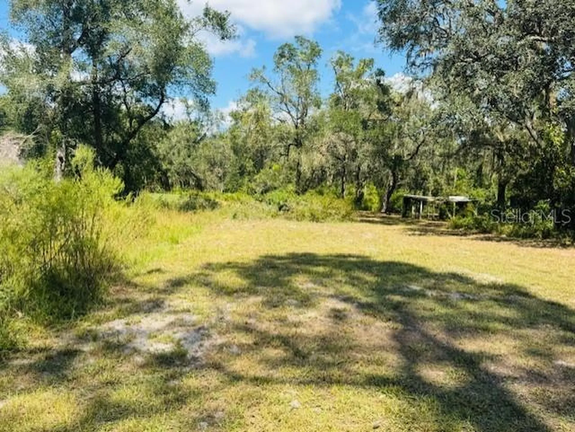 4547 SW 128th Place Webster FL 33597