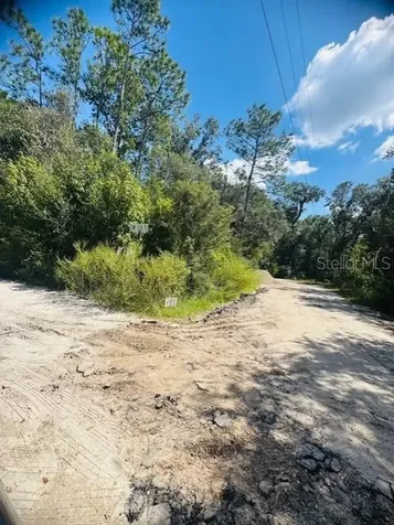 4547 SW 128th Place Webster FL 33597