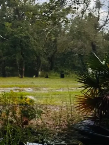 4547 SW 128th Place Webster FL 33597