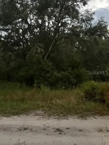 4547 SW 128th Place Webster FL 33597