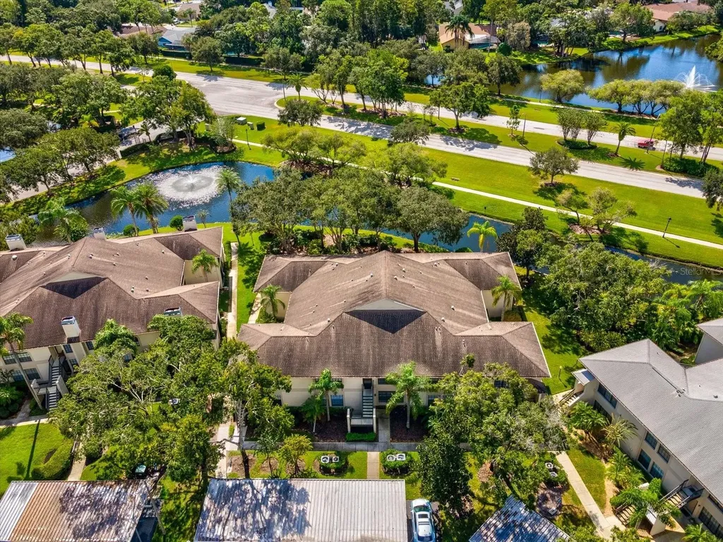 3358 Mermoor Drive Palm Harbor FL 34685
