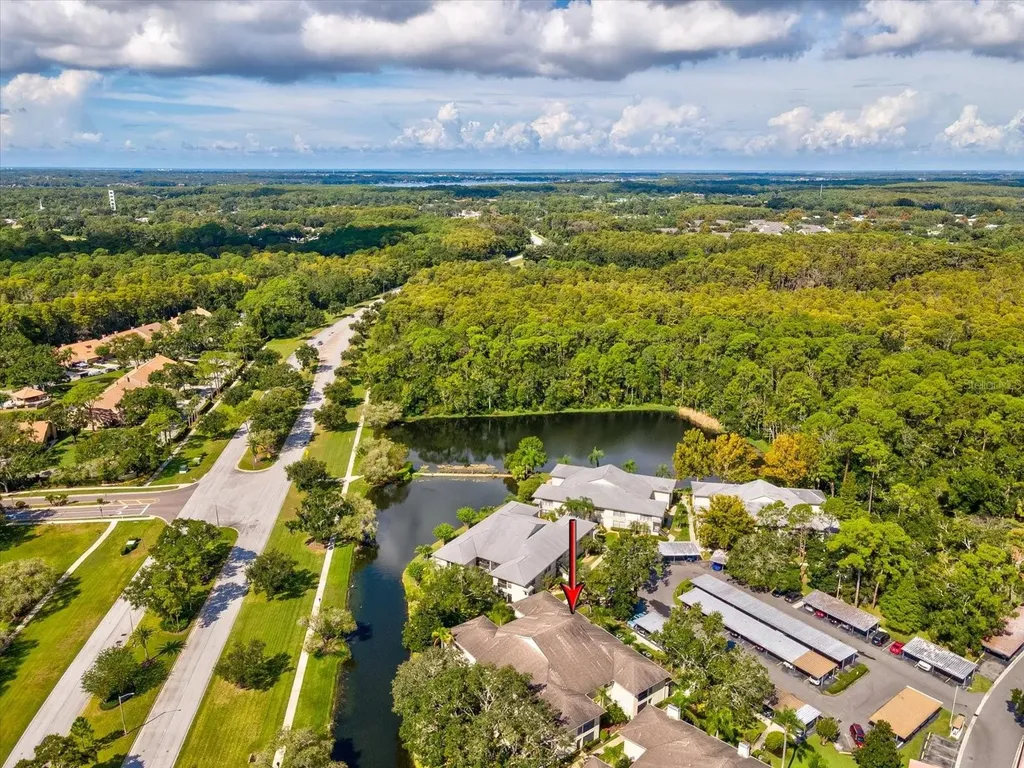 3358 Mermoor Drive Palm Harbor FL 34685