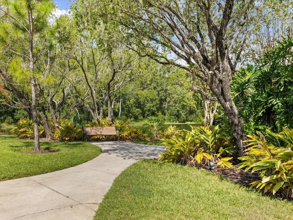 3358 Mermoor Drive Palm Harbor FL 34685