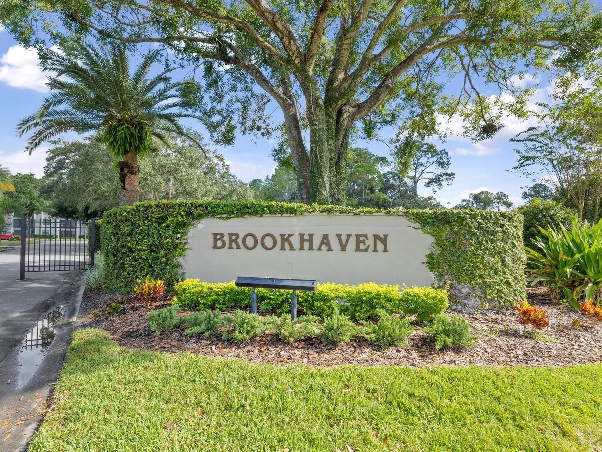 3358 Mermoor Drive Palm Harbor FL 34685