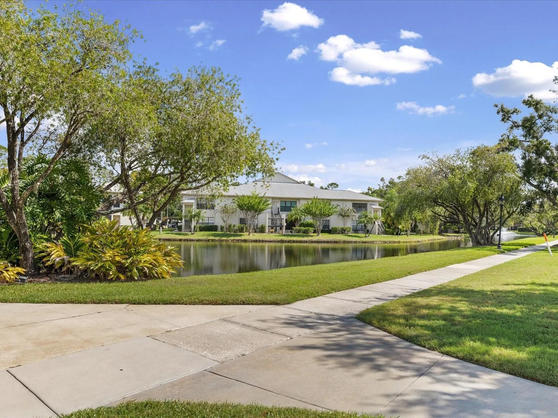 3358 Mermoor Drive Palm Harbor FL 34685