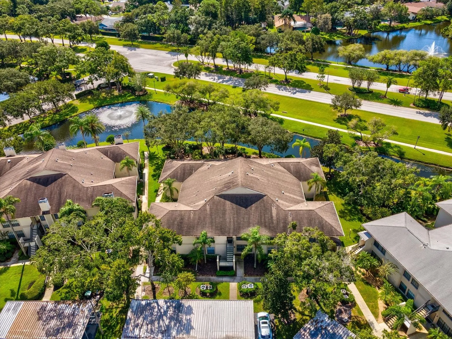 3358 Mermoor Drive Palm Harbor FL 34685