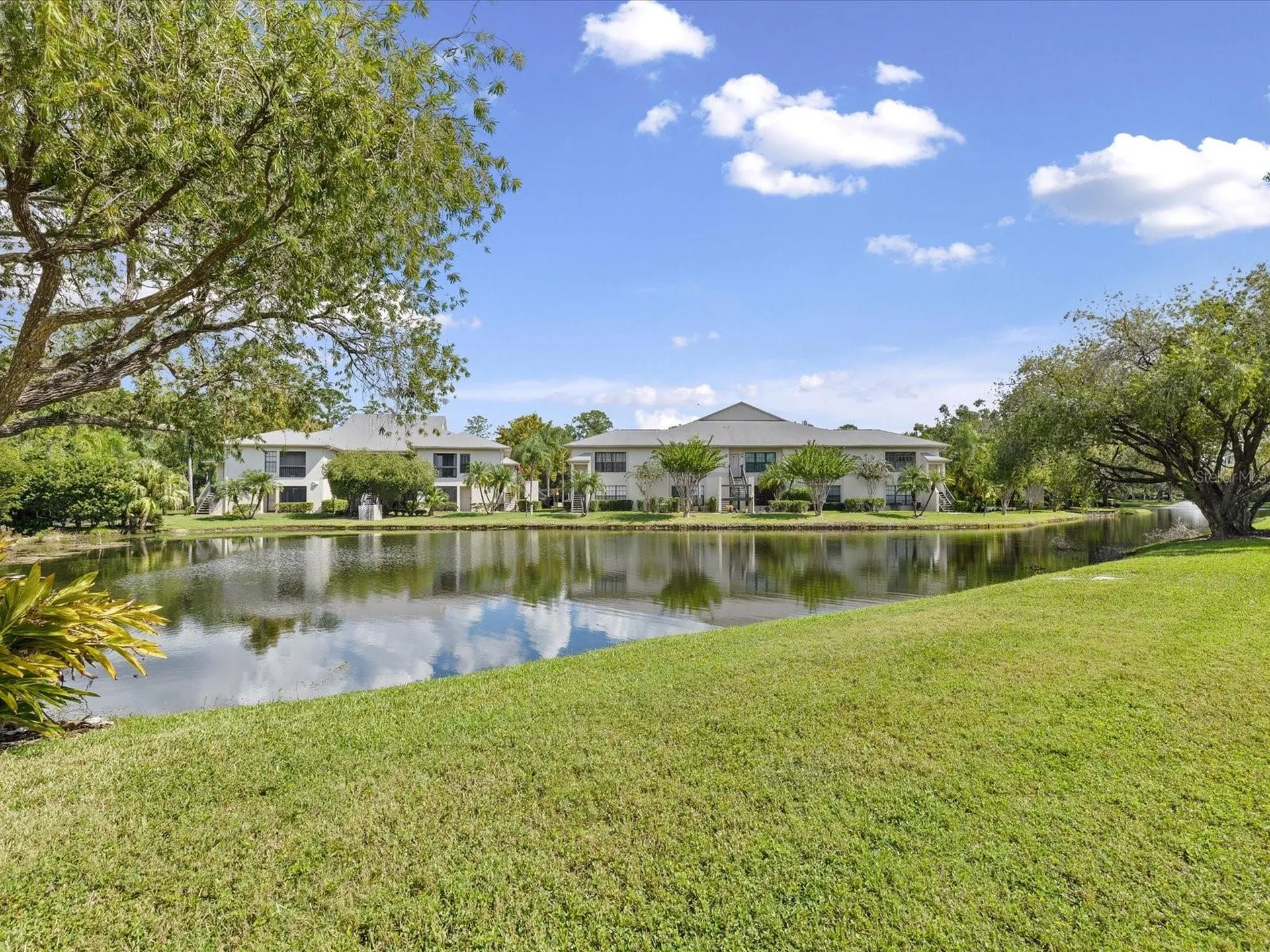 3358 Mermoor Drive Palm Harbor FL 34685