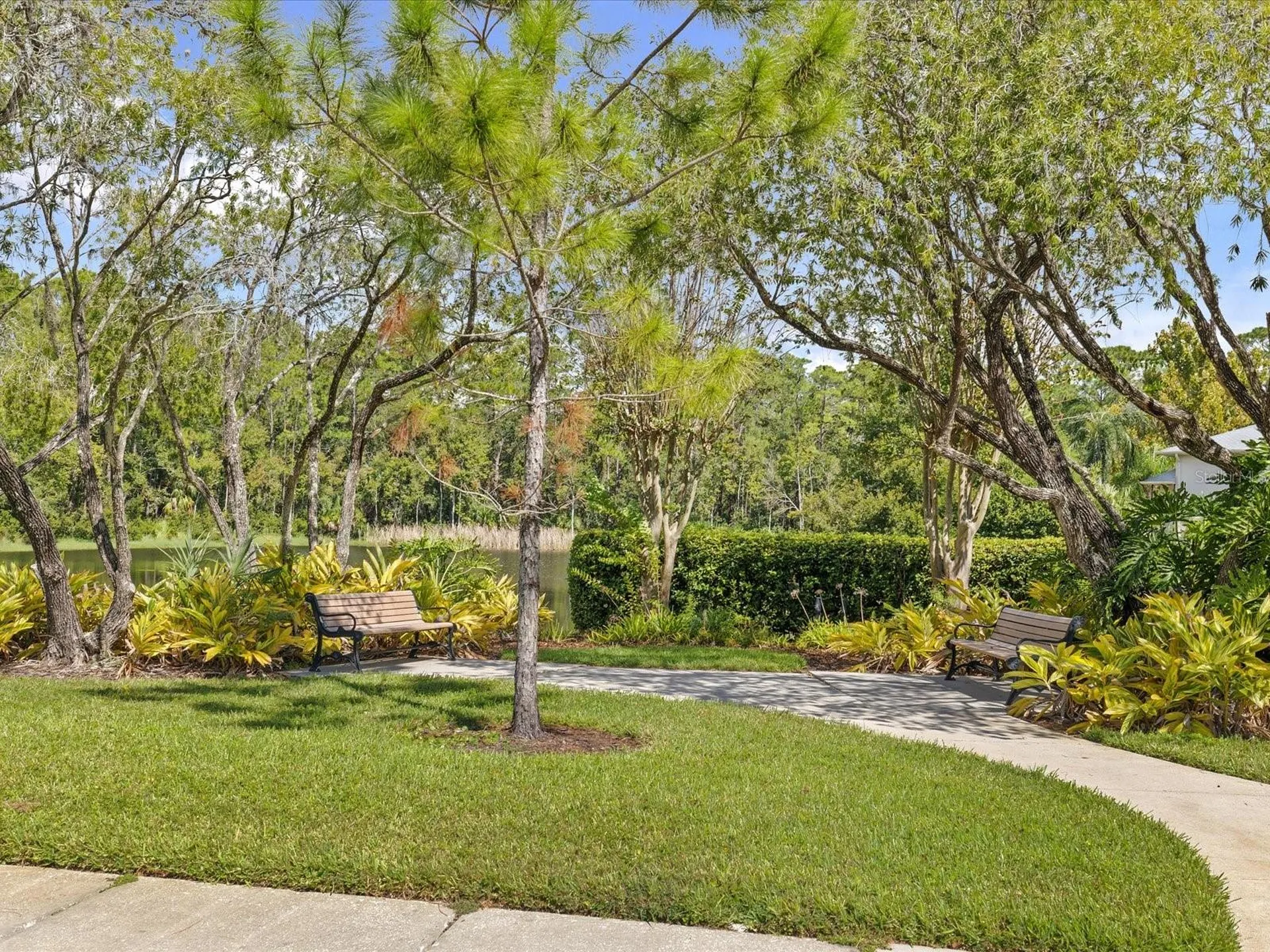 3358 Mermoor Drive Palm Harbor FL 34685