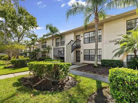 3358 Mermoor Drive Palm Harbor FL 34685