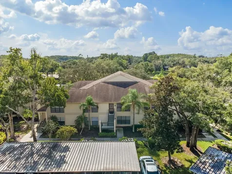 3358 Mermoor Drive Palm Harbor FL 34685