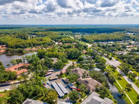 3358 Mermoor Drive Palm Harbor FL 34685