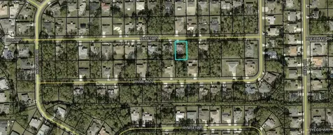 31 Raemoor Drive Palm Coast FL 32164
