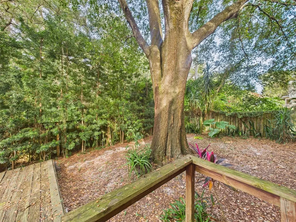 2013 Donnelly Place Mount Dora FL 32757
