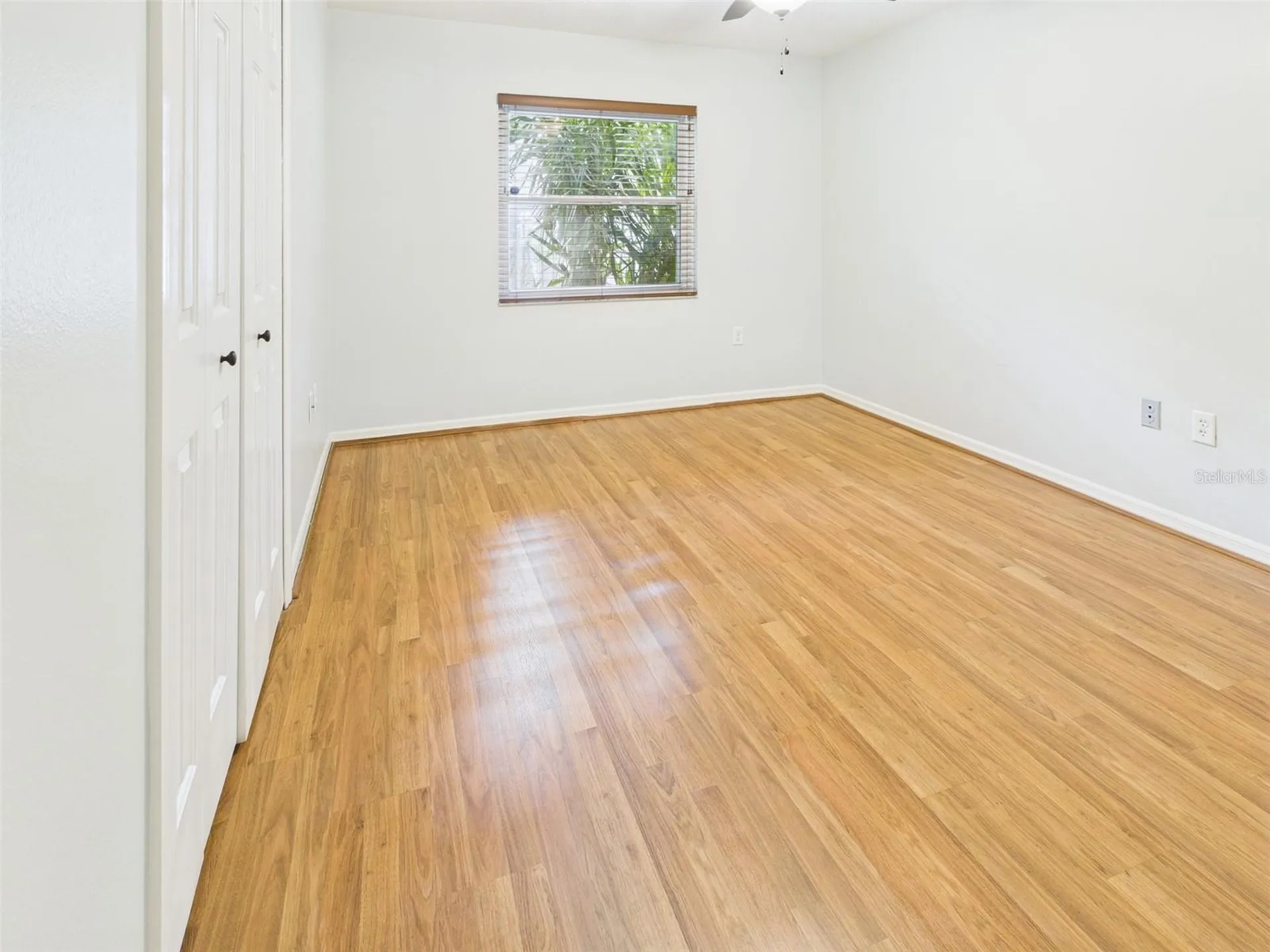 2013 Donnelly Place Mount Dora FL 32757