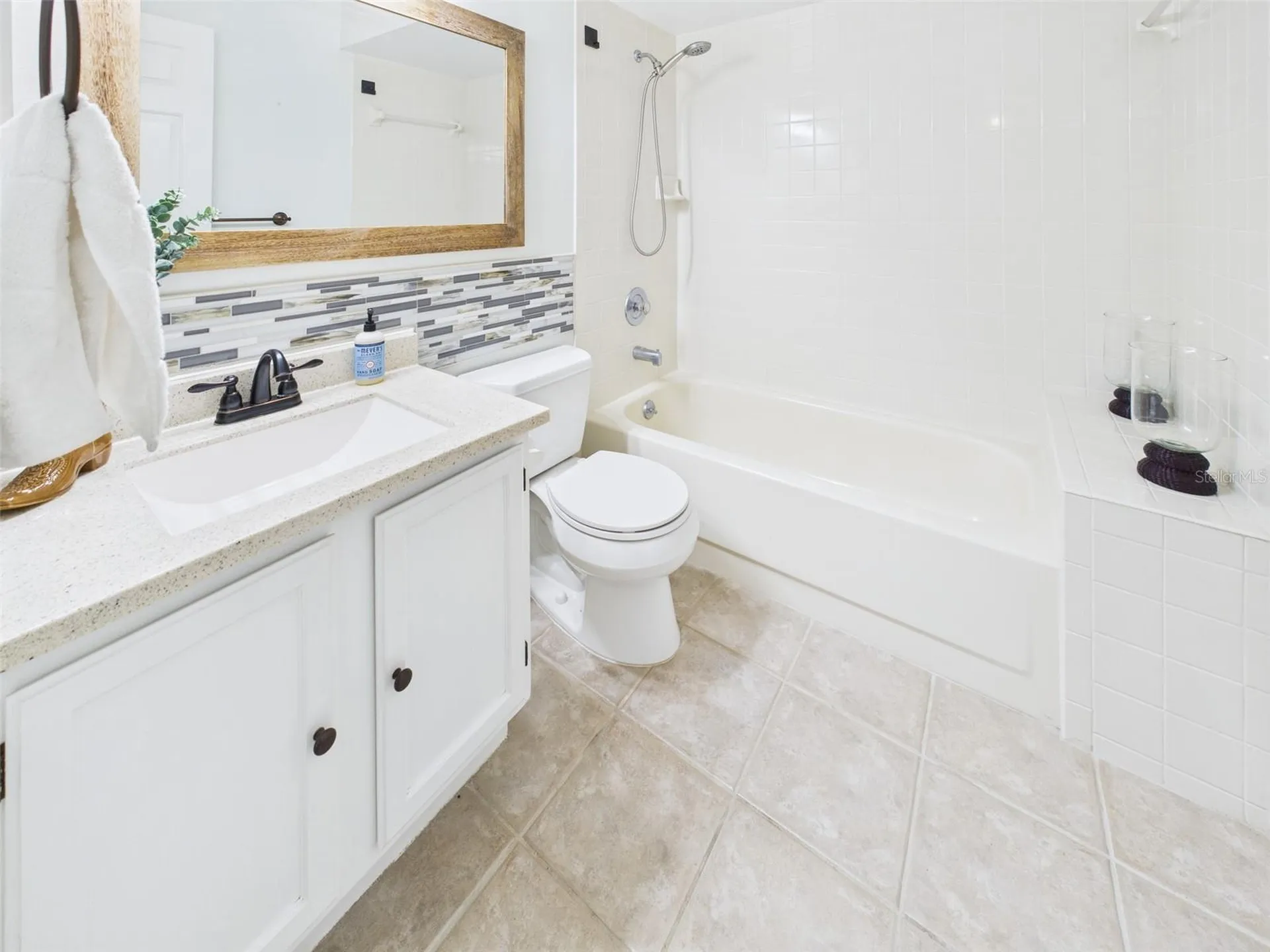 2013 Donnelly Place Mount Dora FL 32757