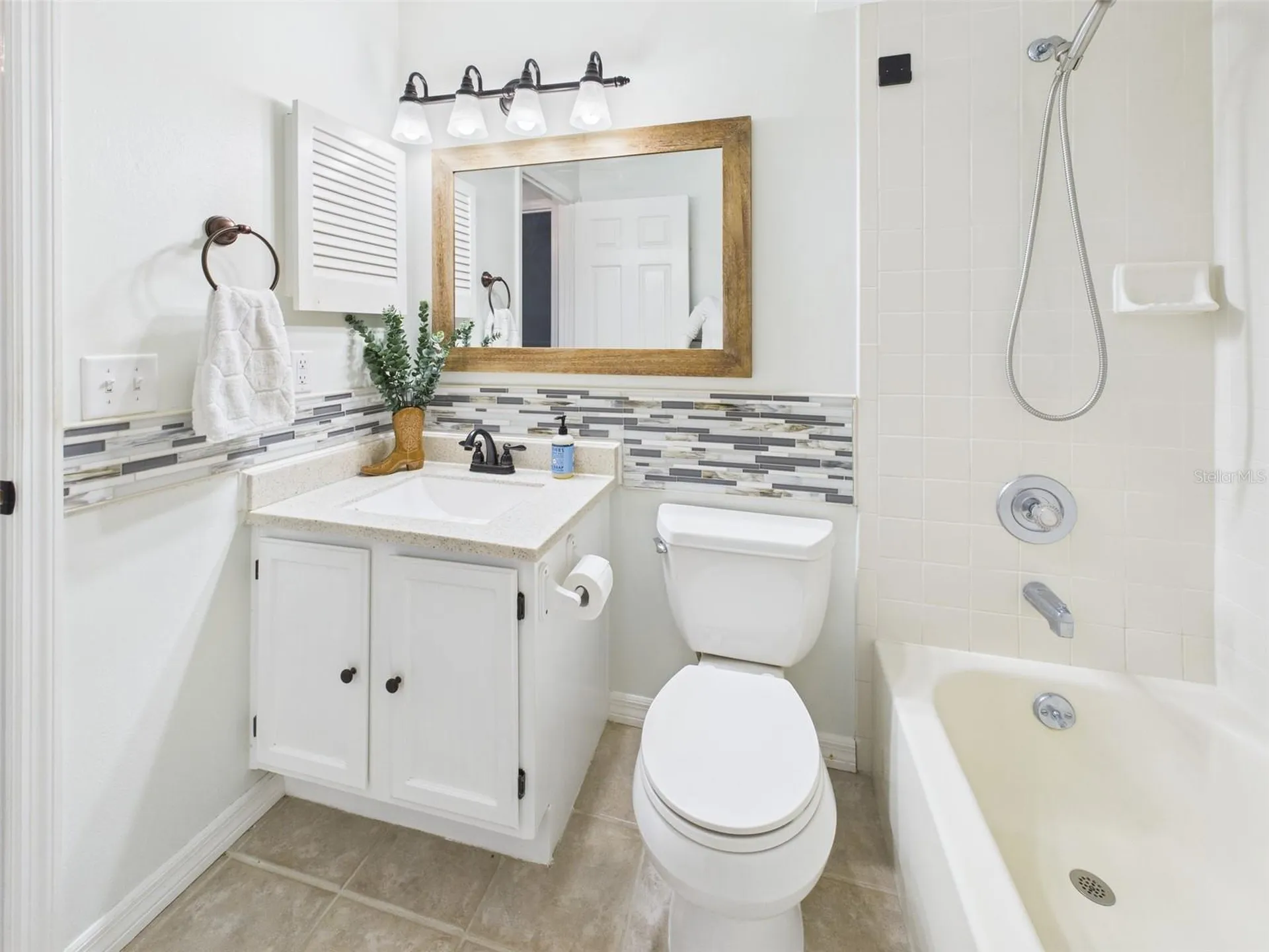 2013 Donnelly Place Mount Dora FL 32757