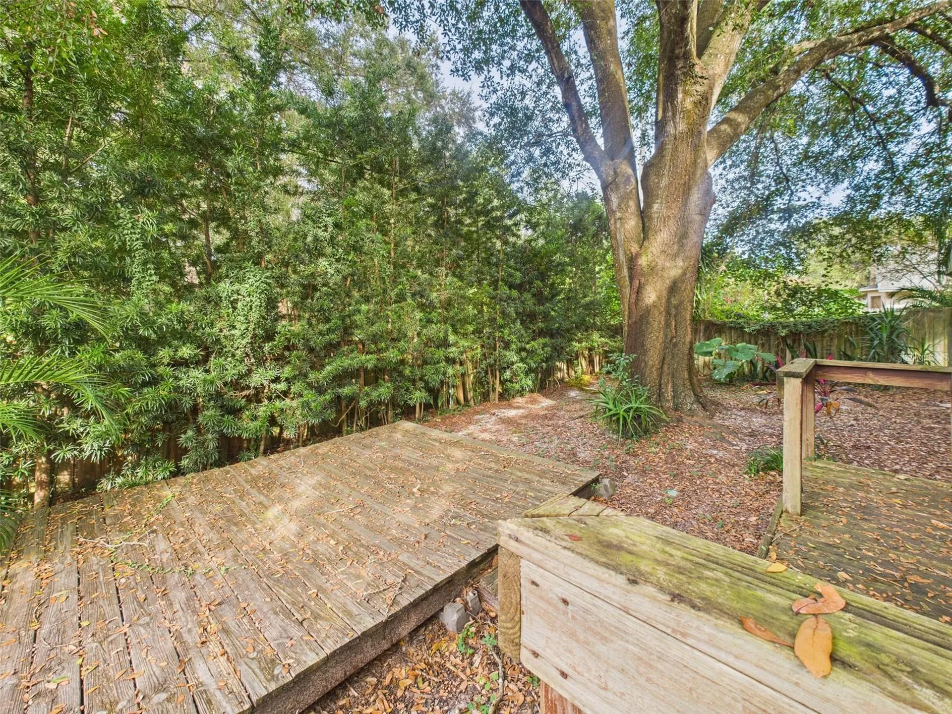 2013 Donnelly Place Mount Dora FL 32757