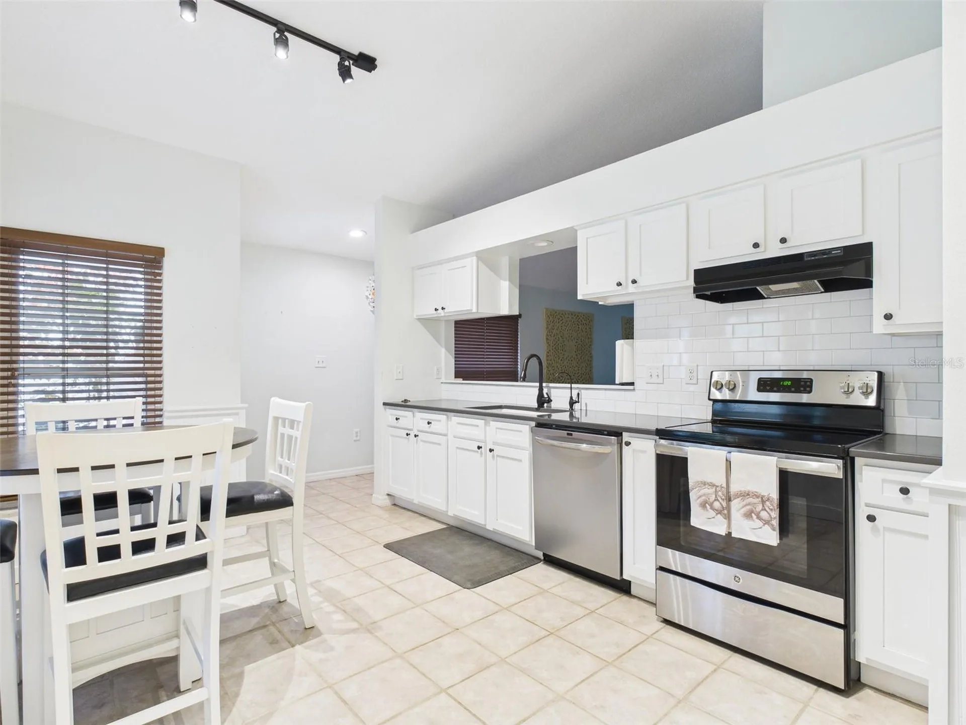 2013 Donnelly Place Mount Dora FL 32757
