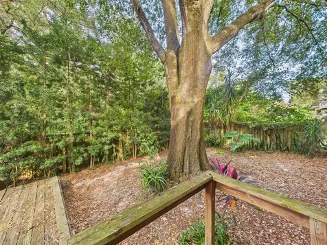 2013 Donnelly Place Mount Dora FL 32757