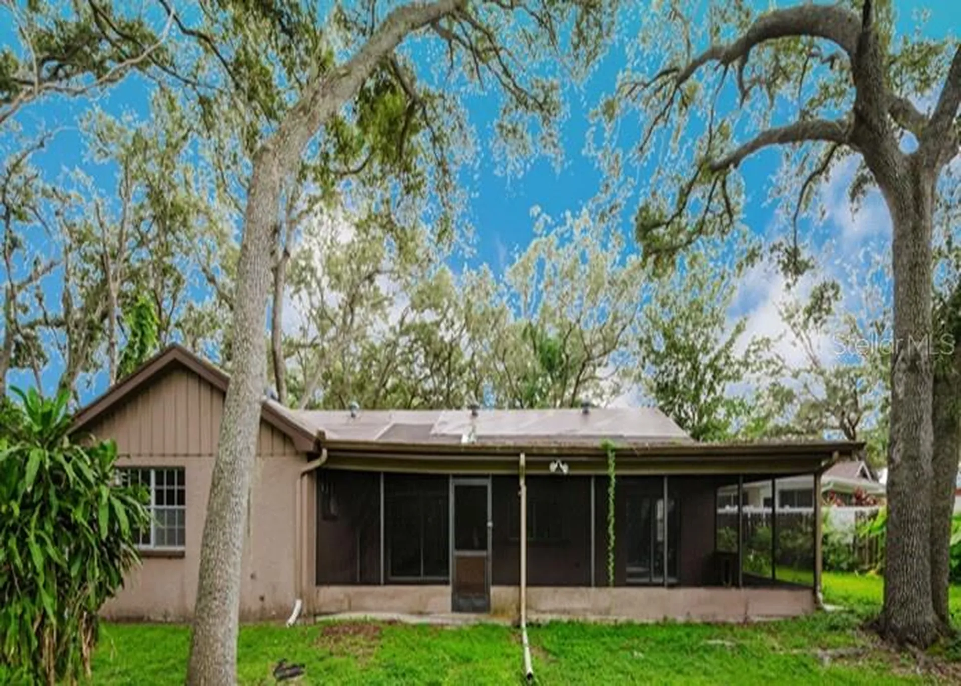 1243 Royal Oak Drive Dunedin FL 34698