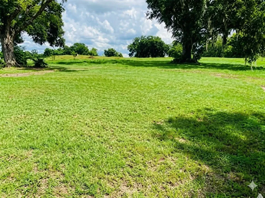 1449 Errol Parkway Apopka FL 32712