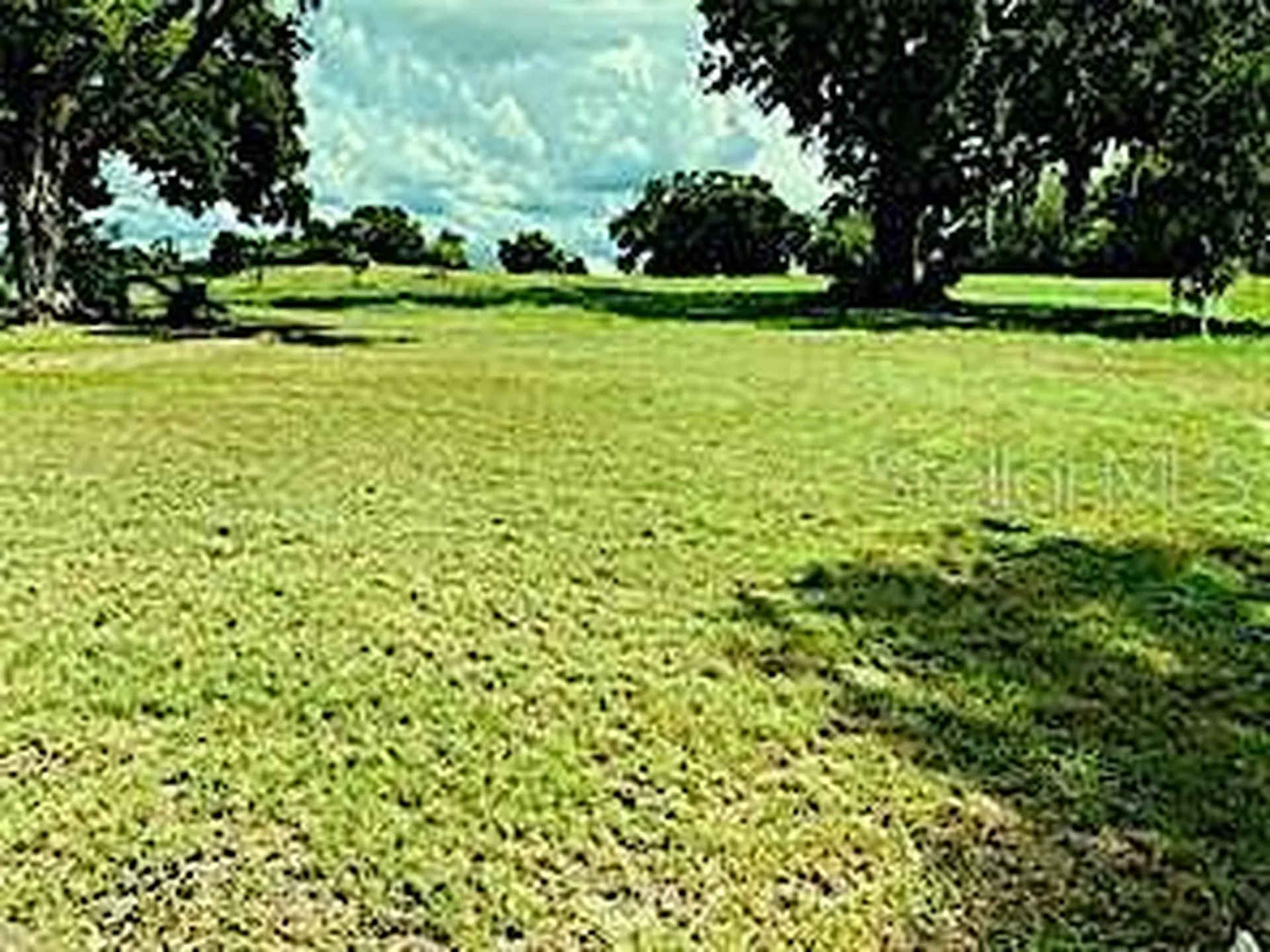 1449 Errol Parkway Apopka FL 32712