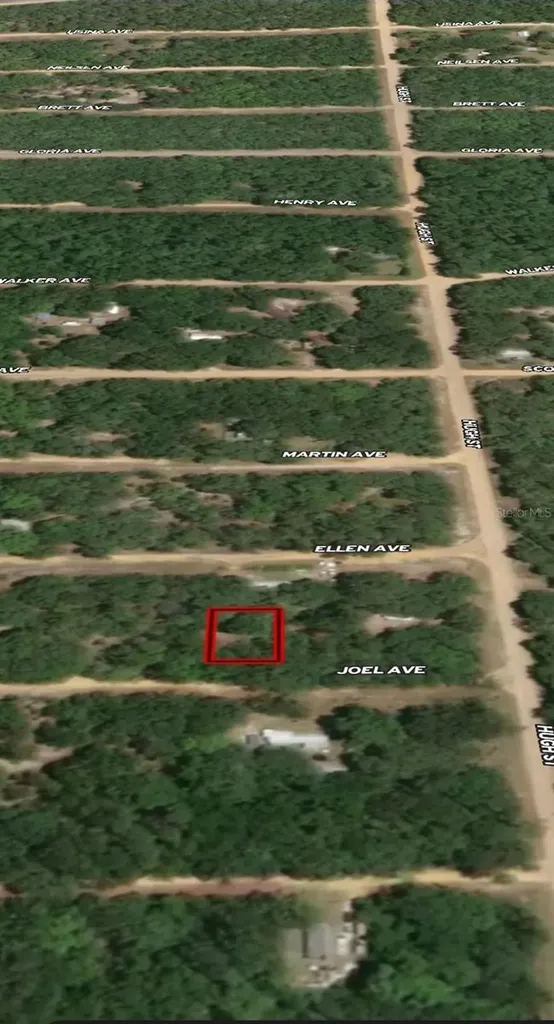 Lot 11 Joel Avenue Interlachen FL 32148