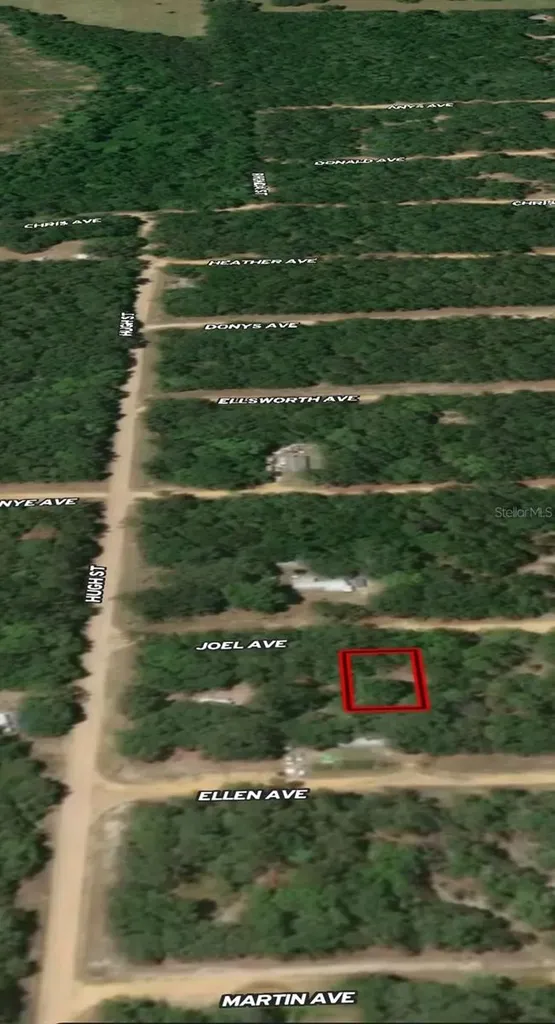 Lot 11 Joel Avenue Interlachen FL 32148