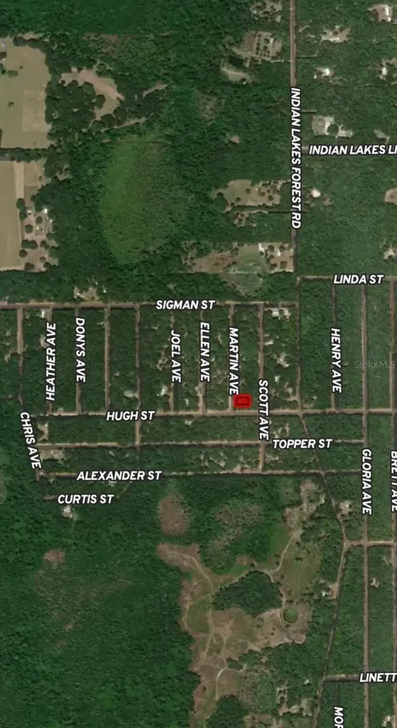 Lot 13 Martin Avenue Interlachen FL 32148