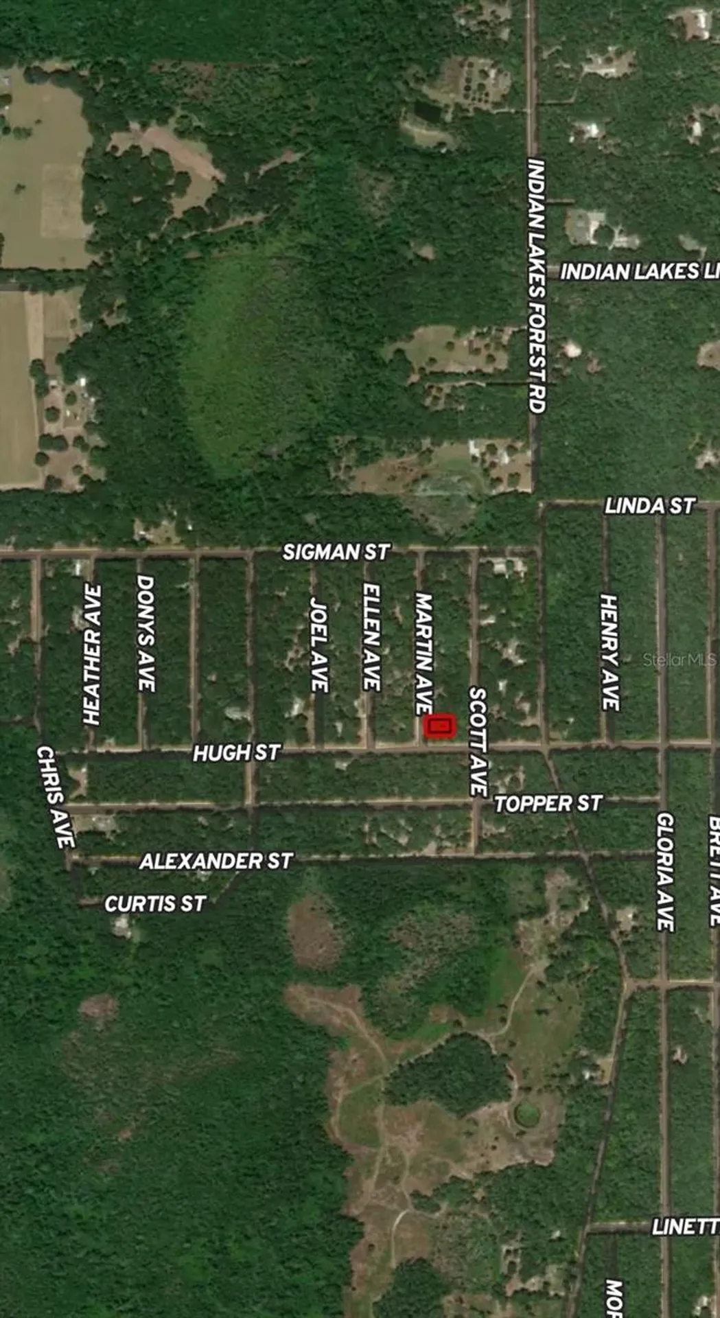 Lot 13 Martin Avenue Interlachen FL 32148