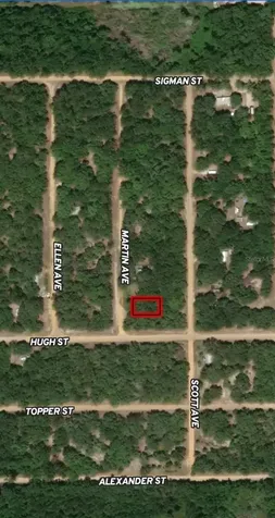 Lot 13 Martin Avenue Interlachen FL 32148