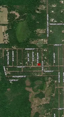 Lot 13 Martin Avenue Interlachen FL 32148