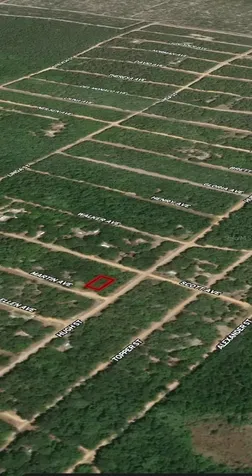 Lot 13 Martin Avenue Interlachen FL 32148