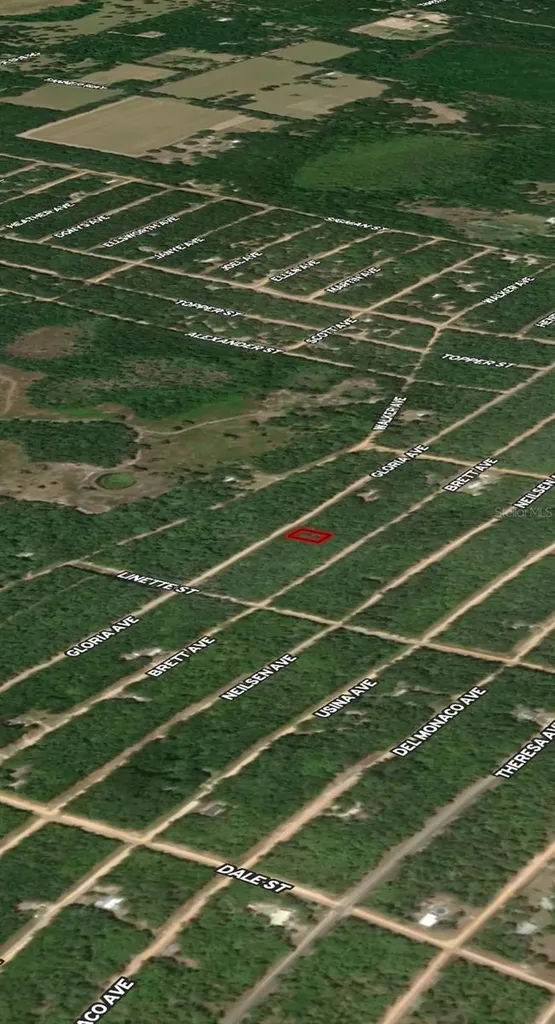 Lot 8 Gloria Avenue Interlachen FL 32148
