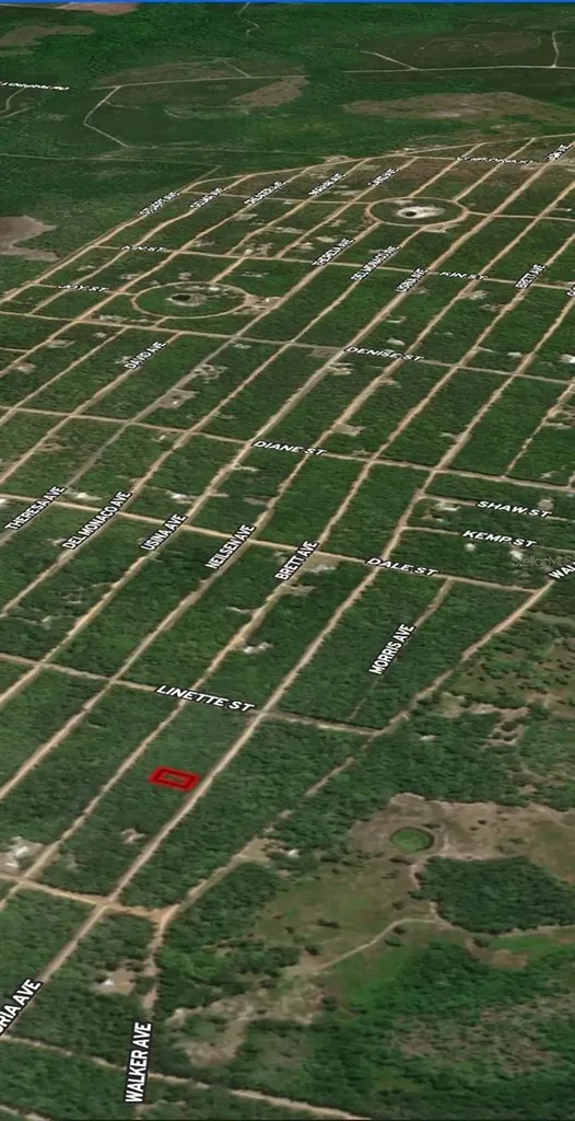 Lot 8 Gloria Avenue Interlachen FL 32148